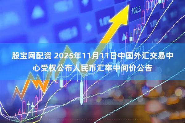 股宝网配资 2025年11月11日中国外汇交易中心受权公布人民币汇率中间价公告
